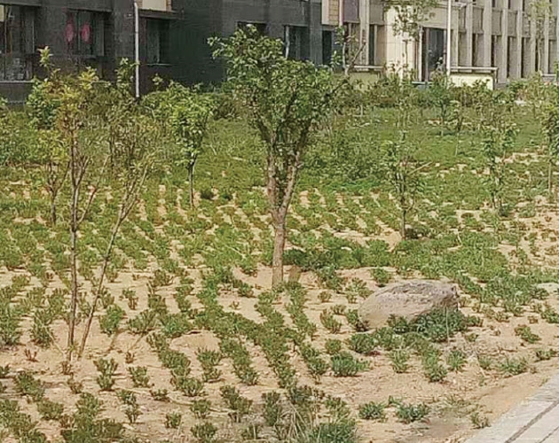 包頭棚戶區(qū)改造,住宅及社區(qū)內道路、園林綠化、亮化工程